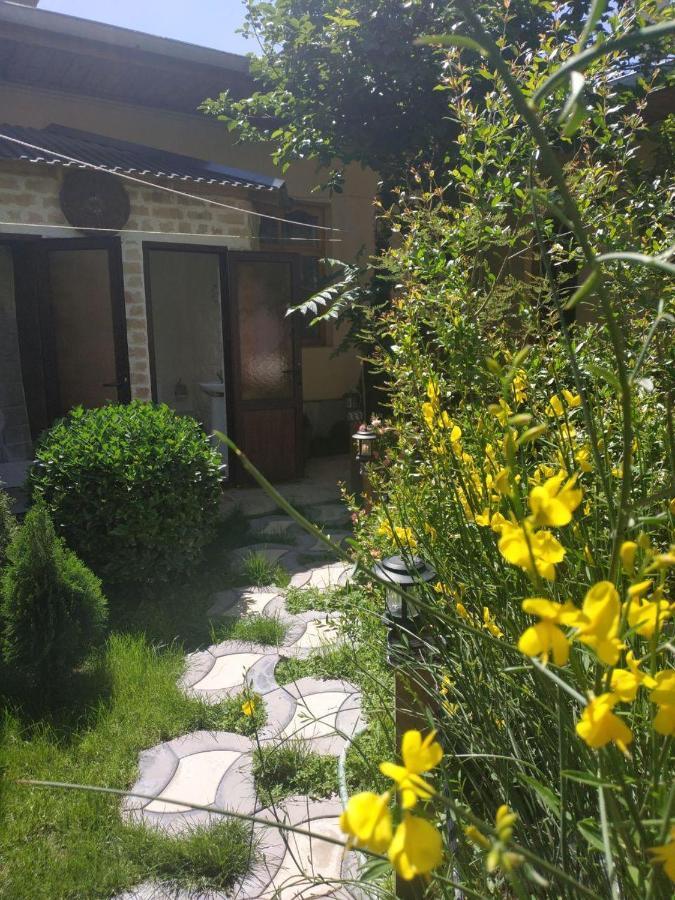 Sim Sim Hostel & Guest House Near The Church Samarkand Luaran gambar