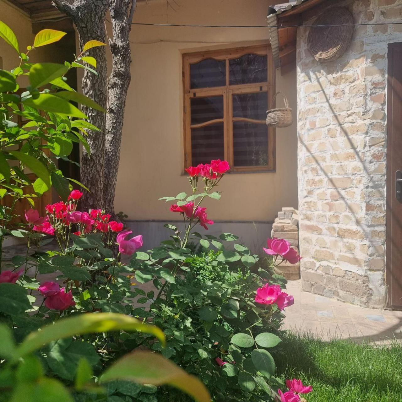 Sim Sim Hostel & Guest House Near The Church Samarkand Luaran gambar