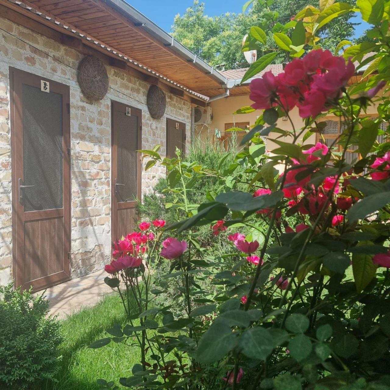 Sim Sim Hostel & Guest House Near The Church Samarkand Luaran gambar
